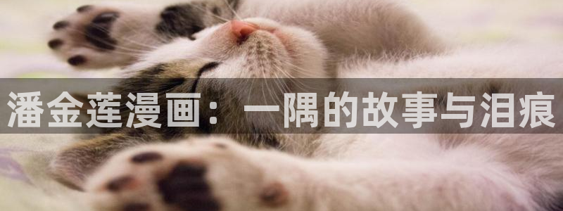 韩漫色漫