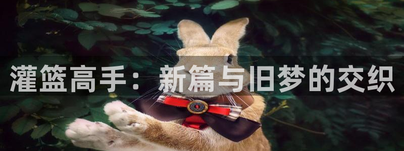 韩漫模拟情景漫画