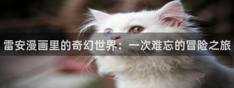 韩漫在哪里看最好漫画