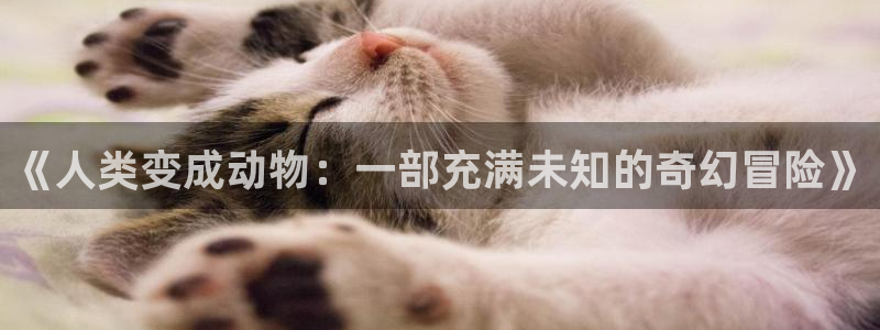 爱欲韩漫在线观看