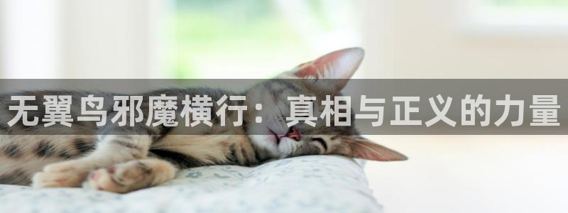 成人韩漫网站