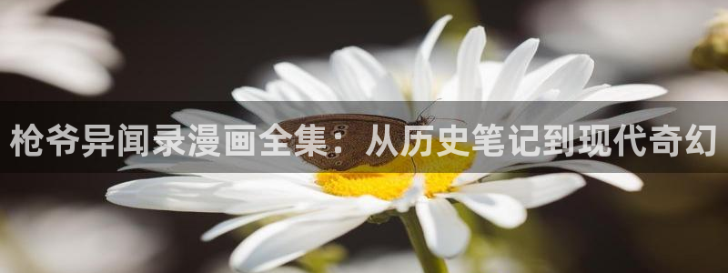 野画集韩漫