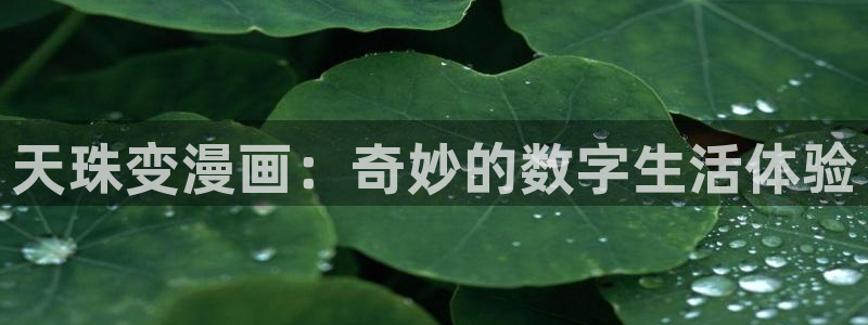 看韩漫网站