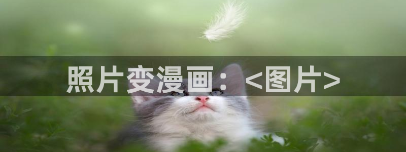 歪歪漫画韩漫免费网站