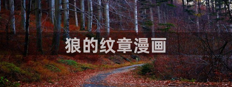 韩漫无删减免费观看网站