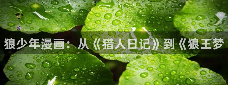 绿色镌像韩漫漫画：狼少年漫画：从《猎人日记》到《狼王梦