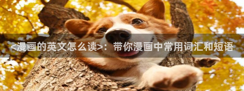 好看的韩漫免费漫画