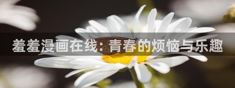 好看的韩漫画免费阅读