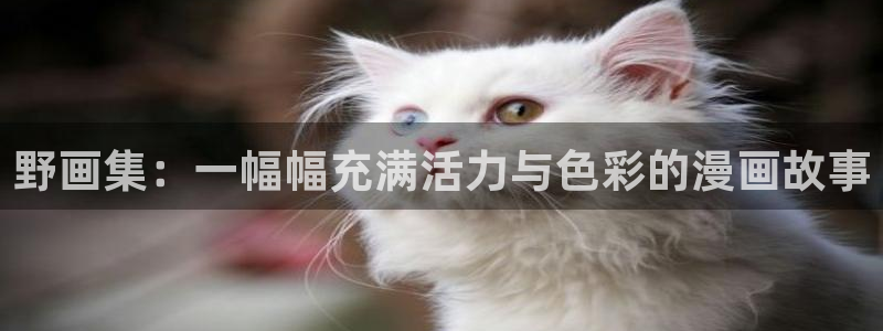 韩漫网站免费：野画集：一幅幅充满活力与色彩的漫画故事